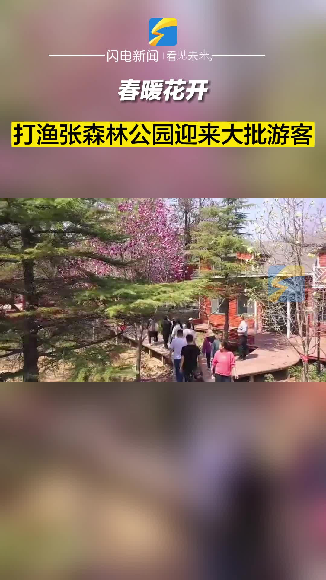 春暖花开 滨州博兴县打渔张森林公园迎来大批游客