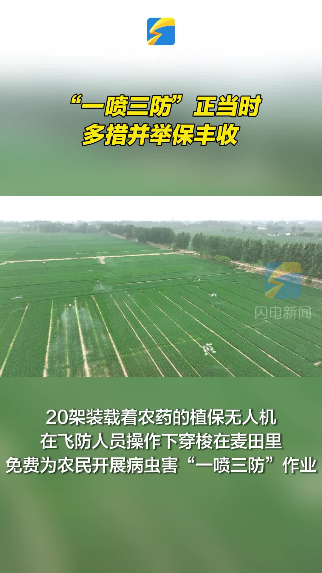 陽信：“一噴三防”正當(dāng)時 多措并舉保豐收