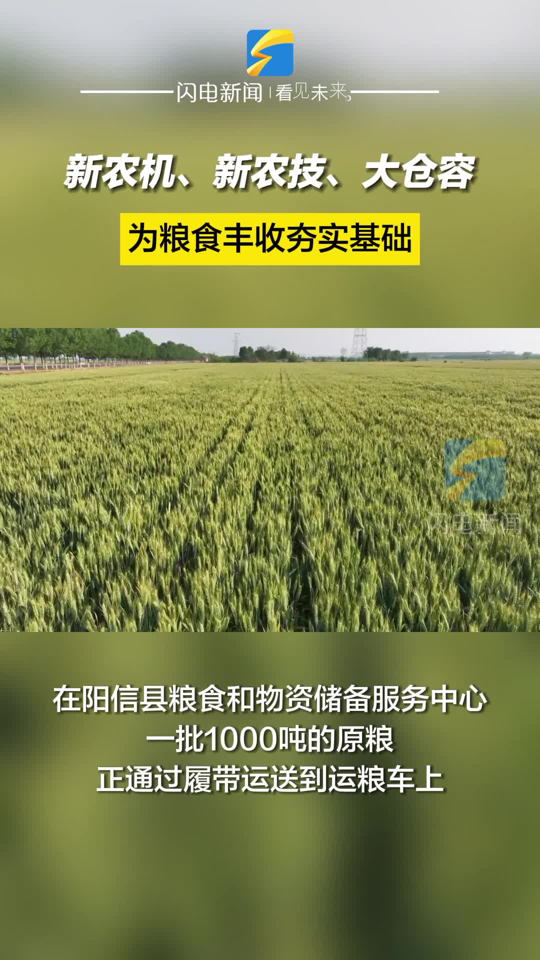 陽信：新農(nóng)機(jī)、新農(nóng)技、大倉容 為糧食豐收夯實(shí)基礎(chǔ)