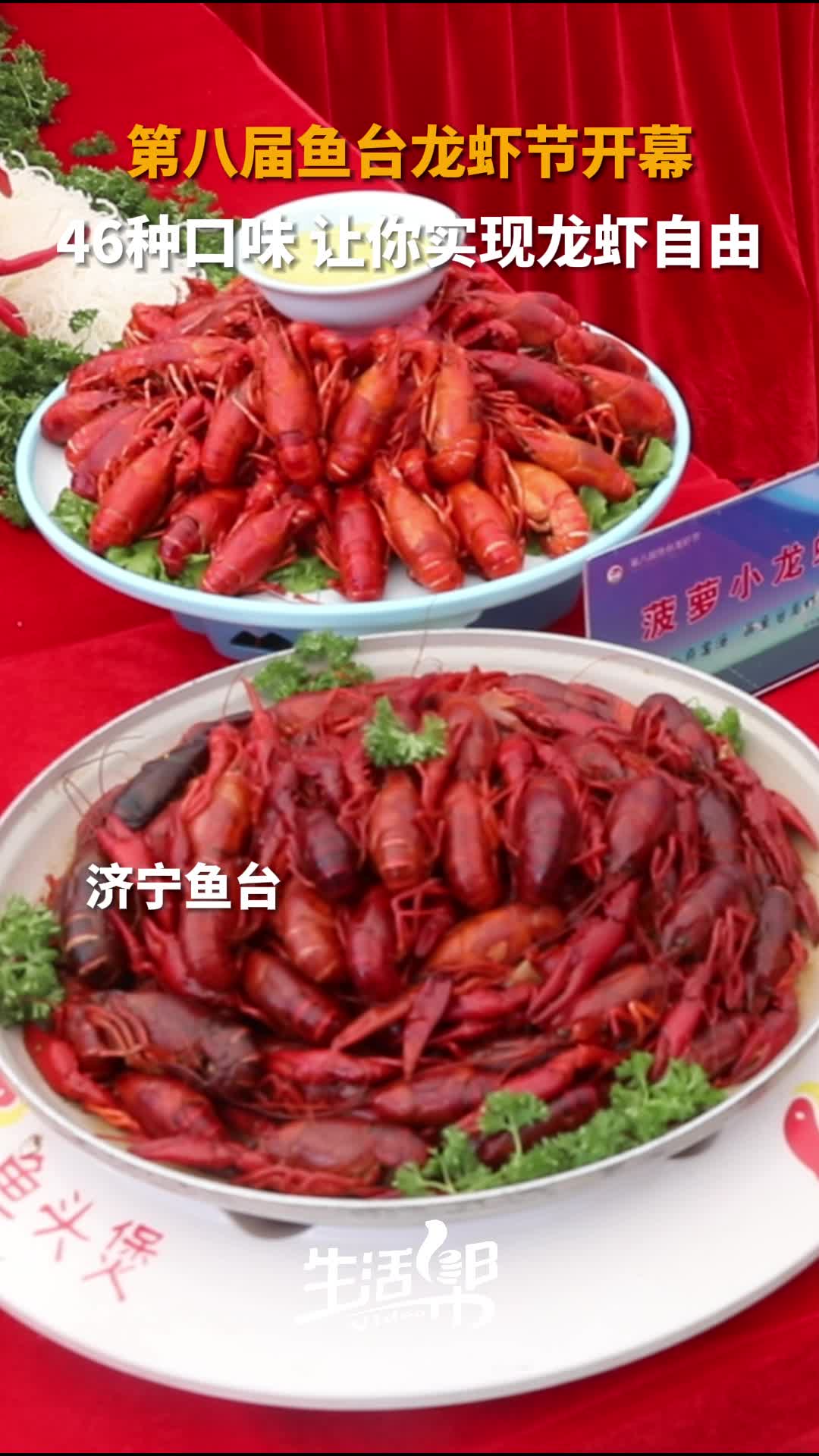 第八届鱼台龙虾节开幕