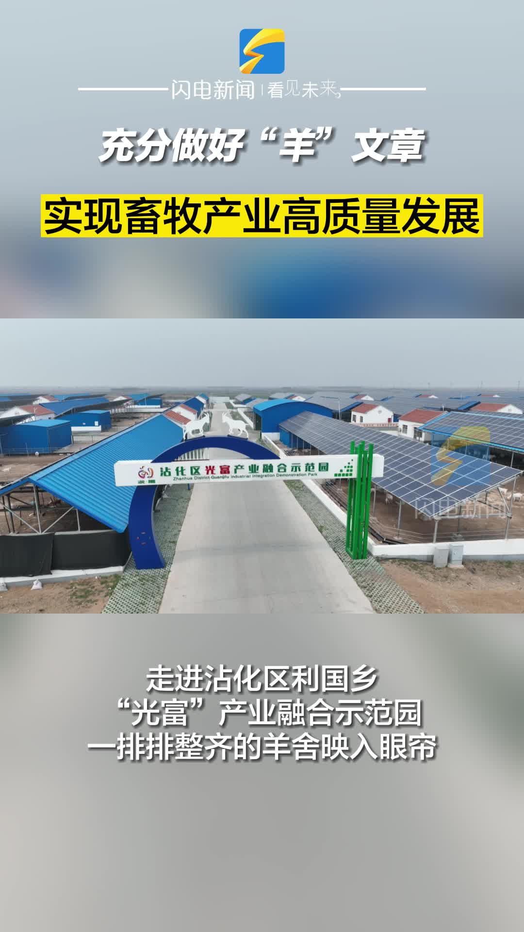 濱州沾化：充分做好“羊”文章 實現畜牧產業高質量發展