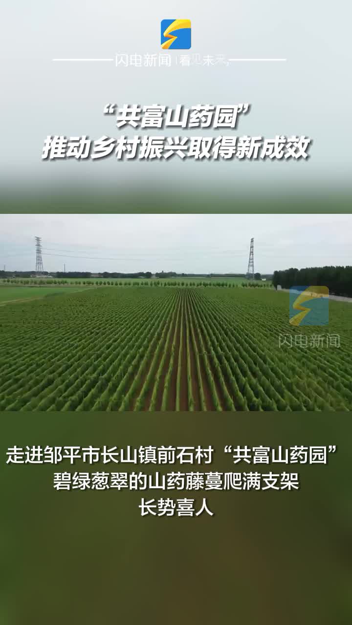 鄒平市：“共富山藥園”推動鄉村振興取得新成效