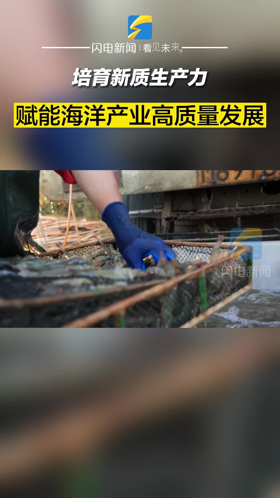 濱州沾化：培育新質(zhì)生產(chǎn)力 賦能海洋產(chǎn)業(yè)高質(zhì)量發(fā)展