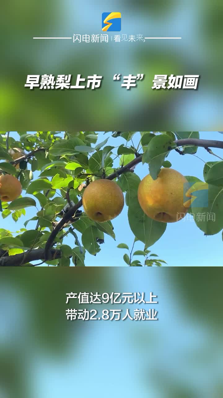 陽信縣：早熟梨上市 “豐”景如畫