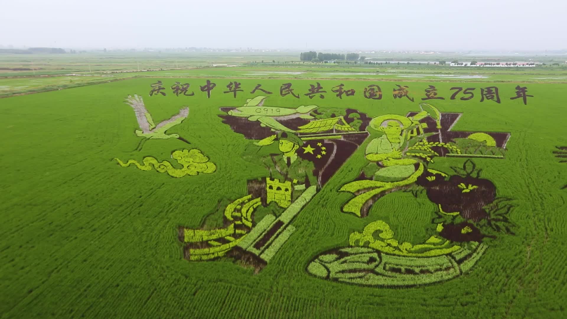 东营垦利:多彩稻田画进入最佳观赏期 农文旅融合赋能乡村振兴