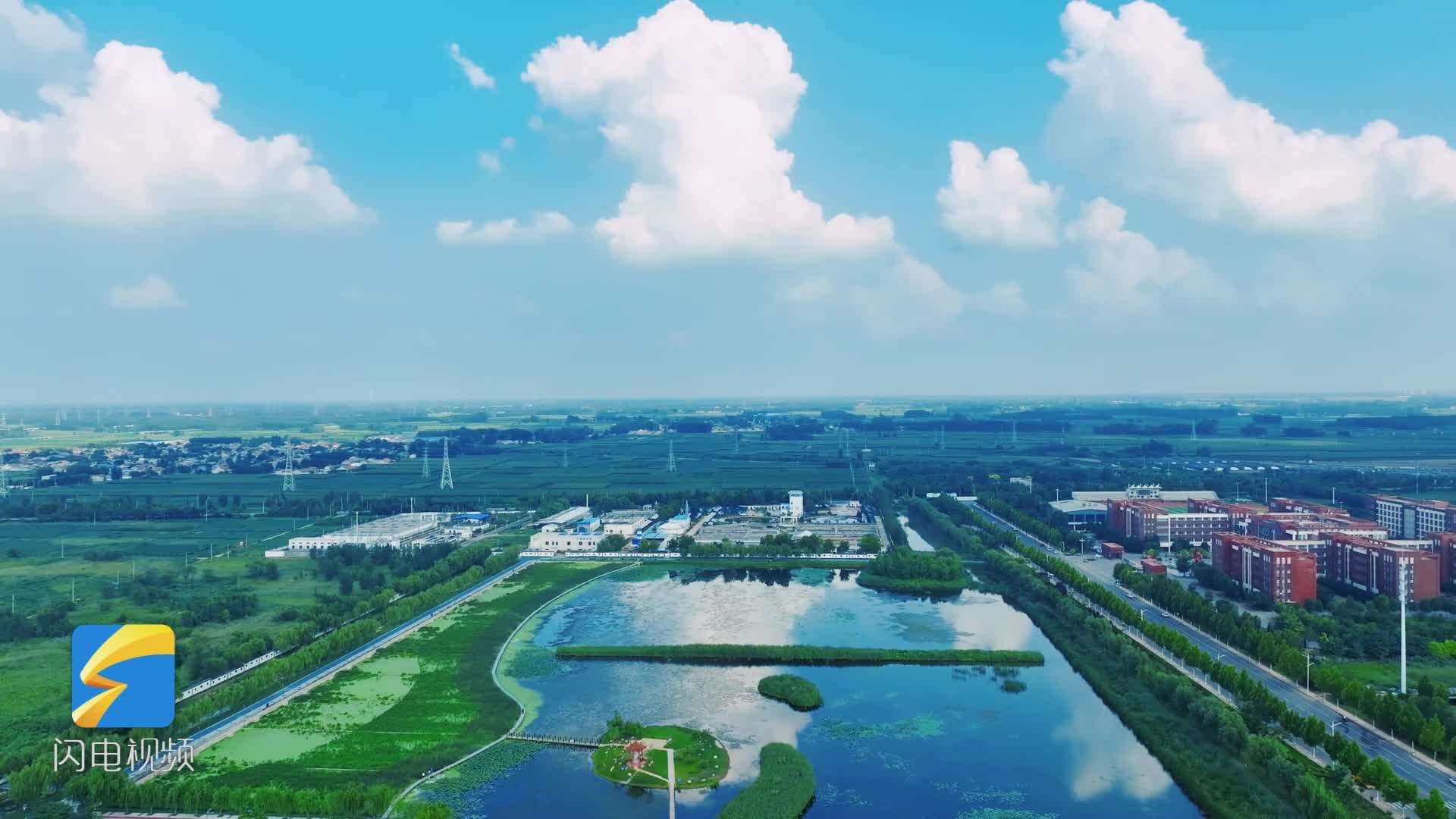 夏津：成群鹭鸟水中栖息 初秋湿地美如画