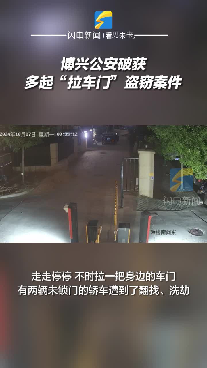 拉開車門 手銬上身！博興公安破獲多起“拉車門”盜竊案件