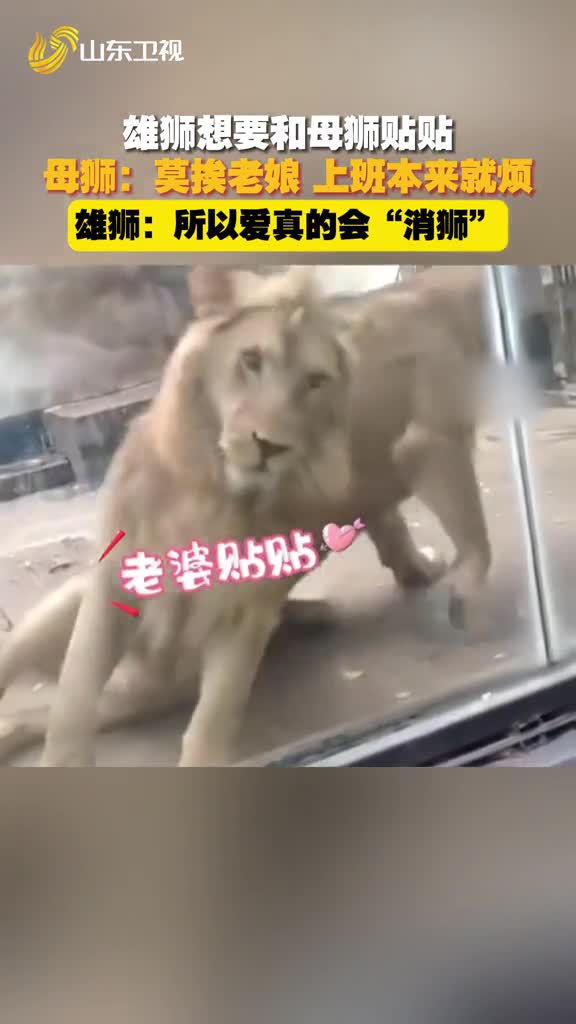 原來愛真的會“消獅”！