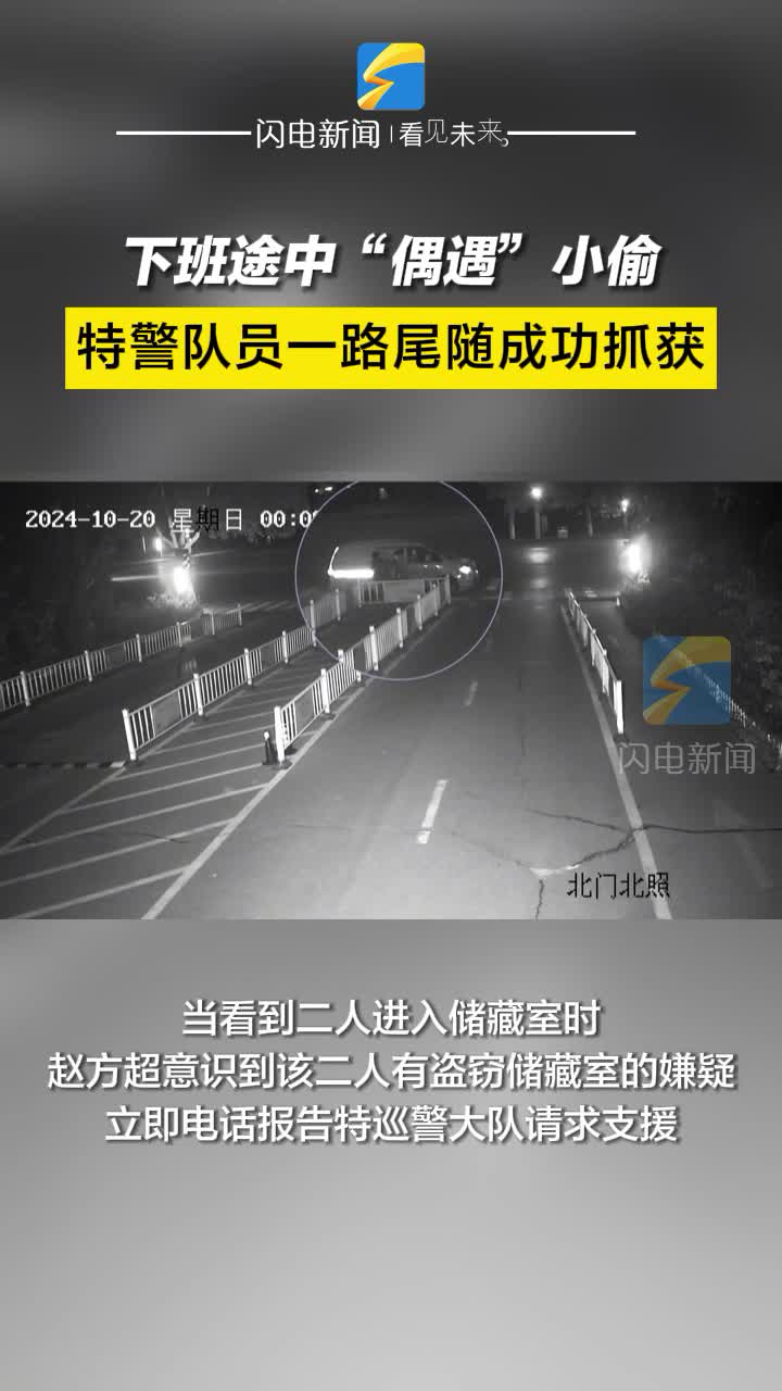 凌晨，下班途中“偶遇”小偷 特警队员一路尾随成功抓获