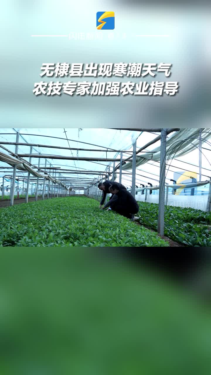 無棣縣出現寒潮天氣 農技專家加強農業指導