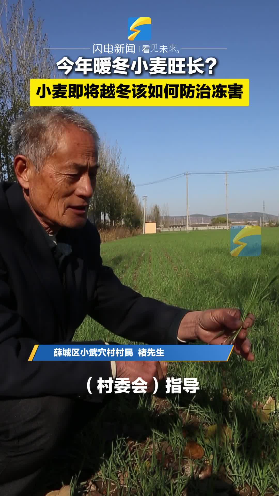 滕州市鲍沟镇庭院经济激活乡村振兴“一池春水”