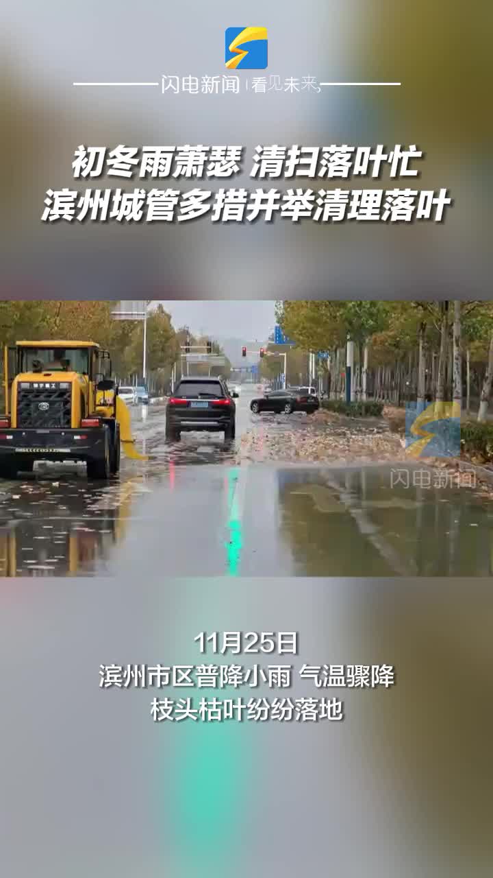 初冬雨蕭瑟 清掃落葉忙 濱州城管多措并舉清理落葉