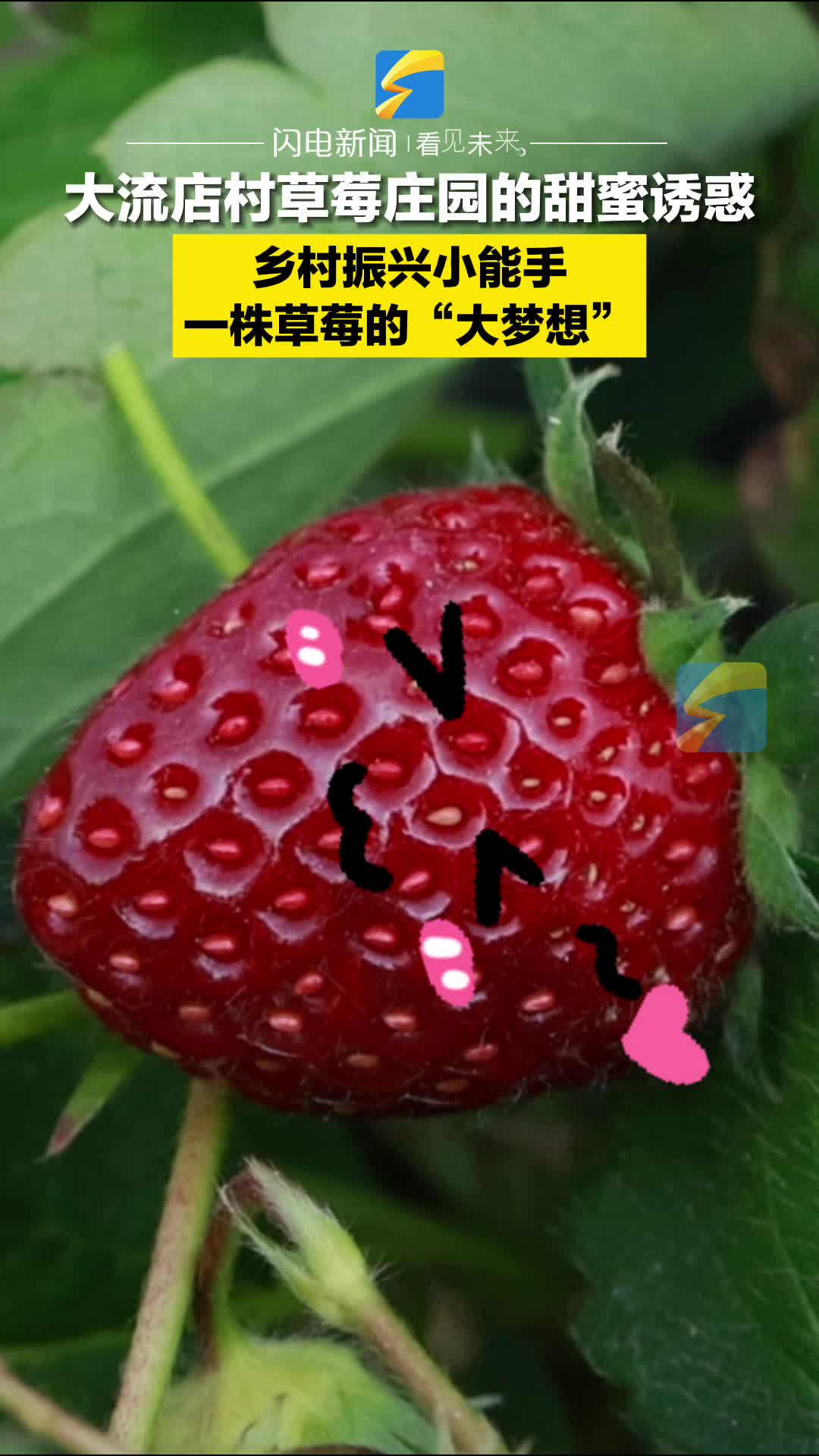 “甜甜”草莓自述乡村振兴路：大流店草莓庄园的甜蜜诱惑