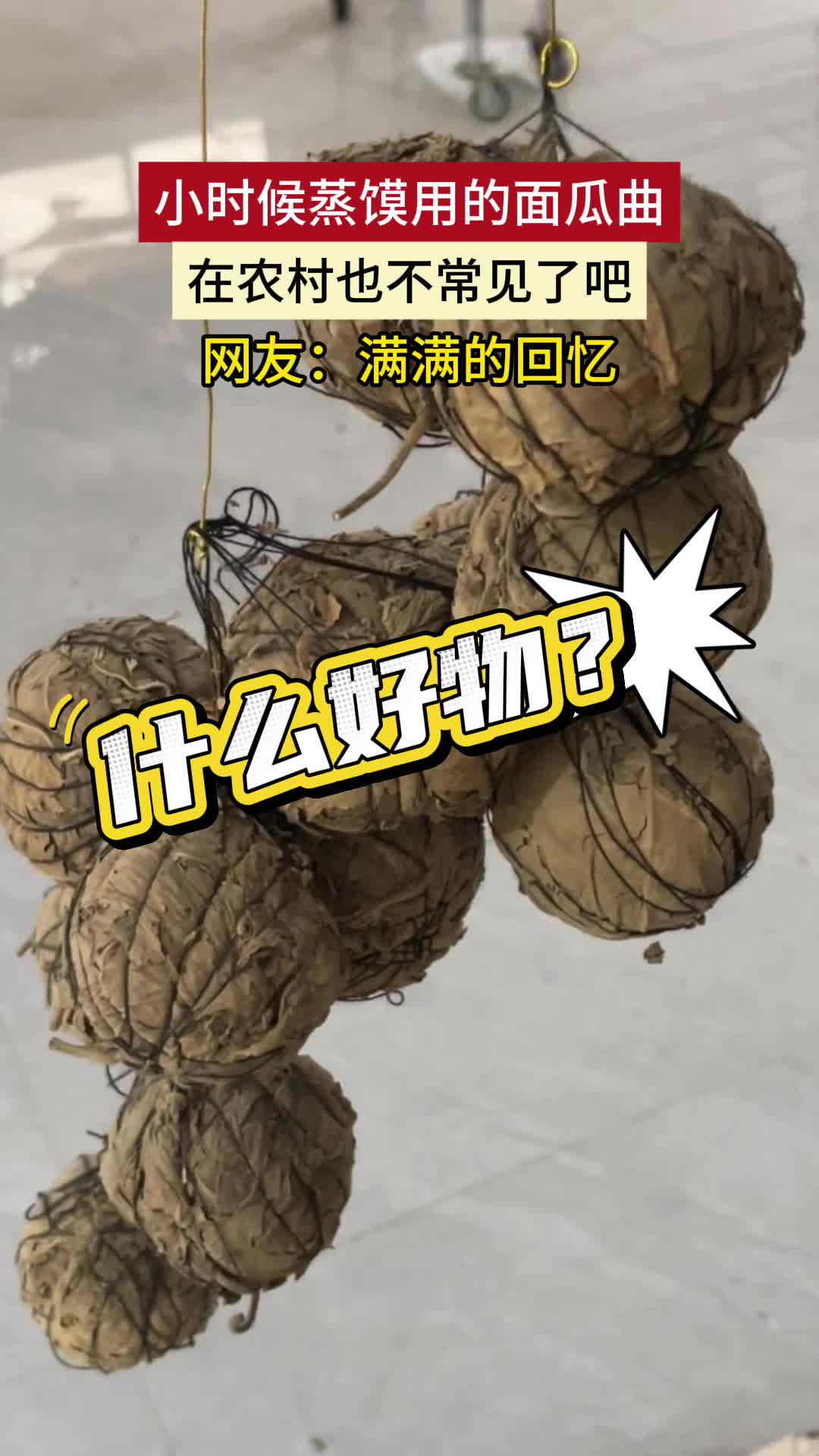 小时候蒸馍用的面瓜曲 在农村也不常见了吧