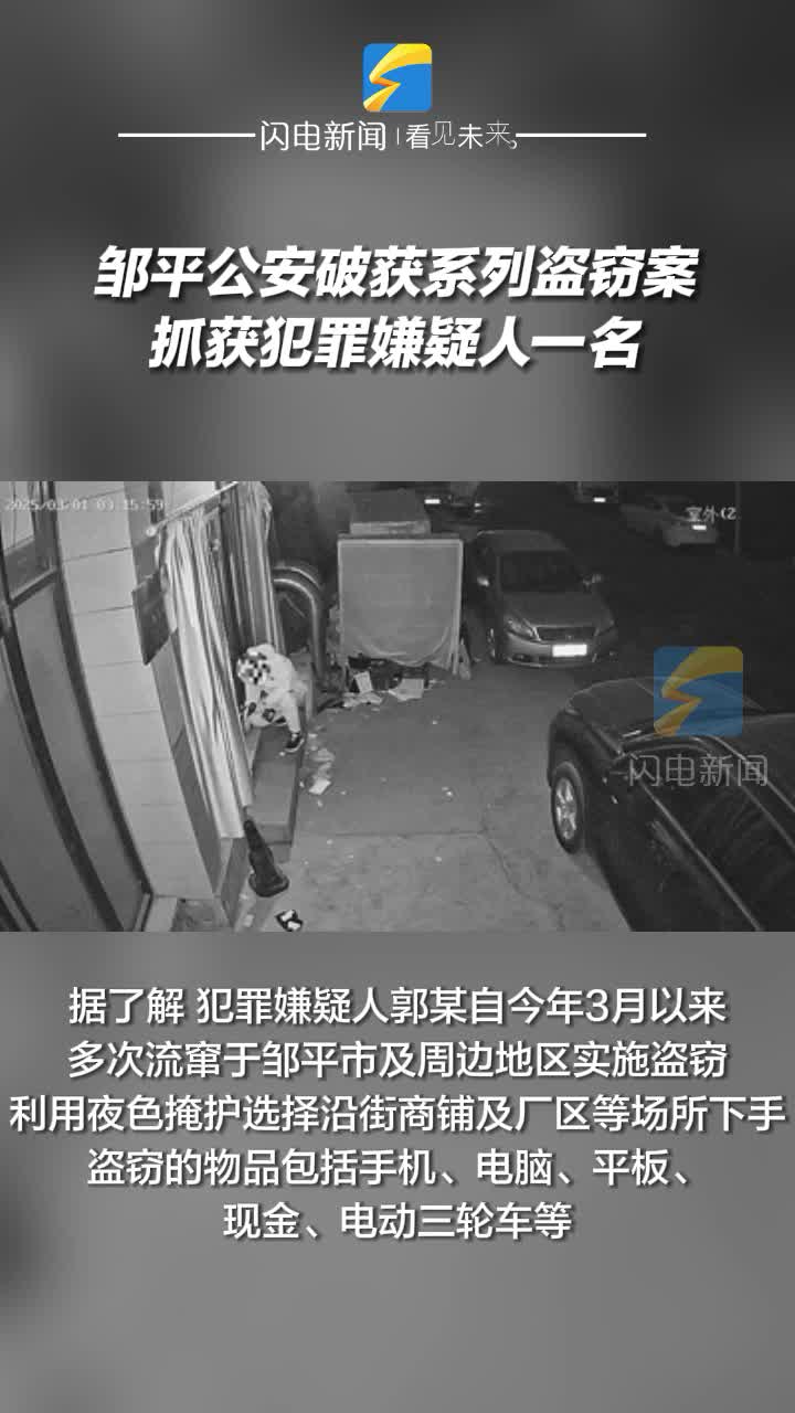 鄒平公安破獲系列盜竊案 抓獲犯罪嫌疑人一名