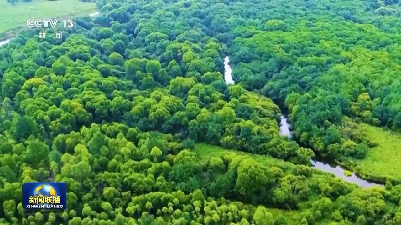 【新思想引領新征程】共植新綠 建設美麗中國