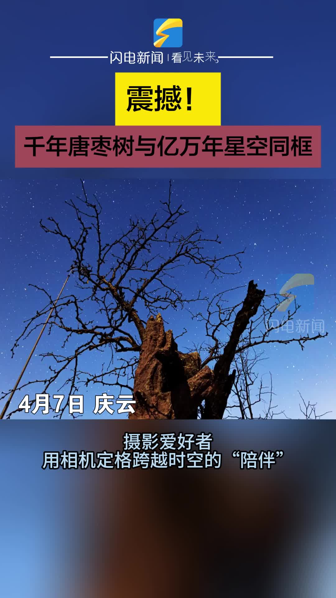 震撼！当庆云千年唐枣树与亿万年星空同框，摄影爱好者用相机定格跨越时空的“陪伴”