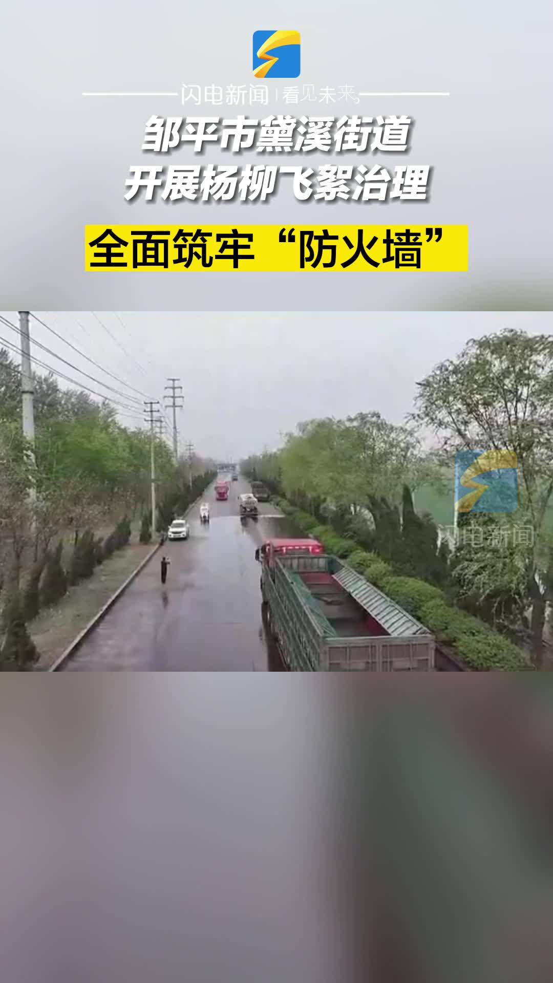 鄒平市黛溪街道開展楊柳飛絮治理 全面筑牢“防火墻”