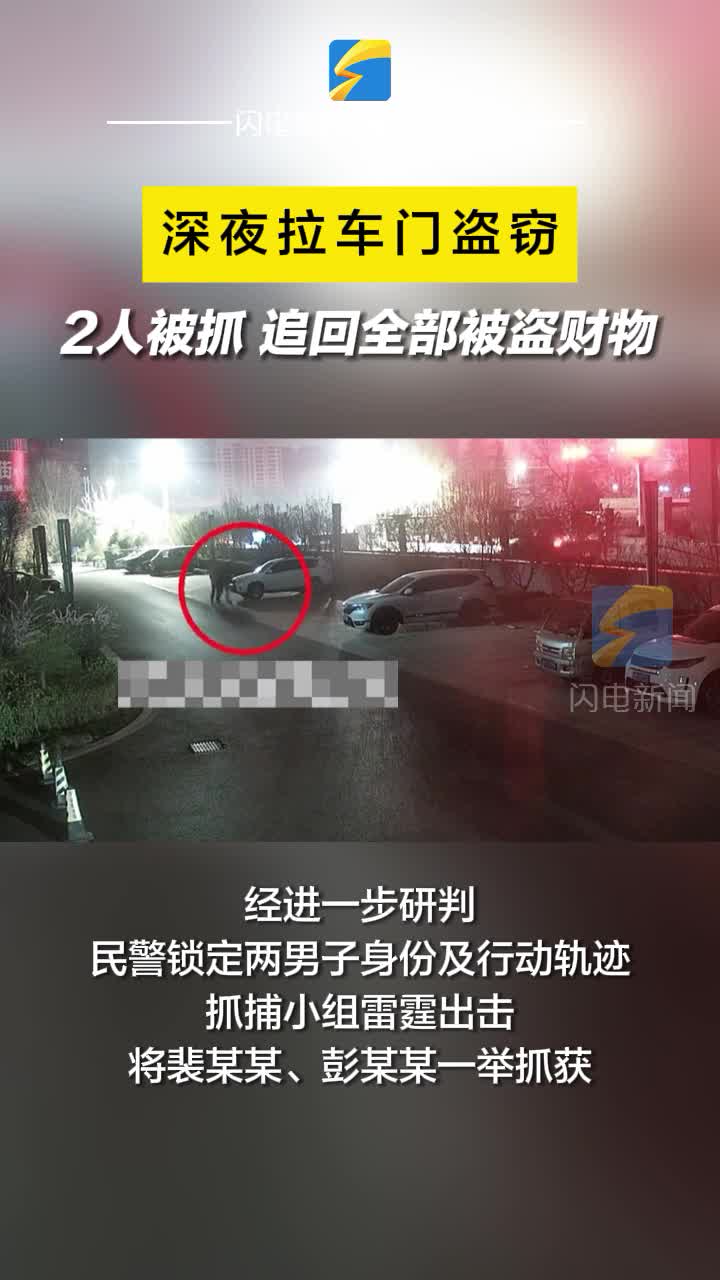 鄒平：深夜拉車門盜竊 2人被抓