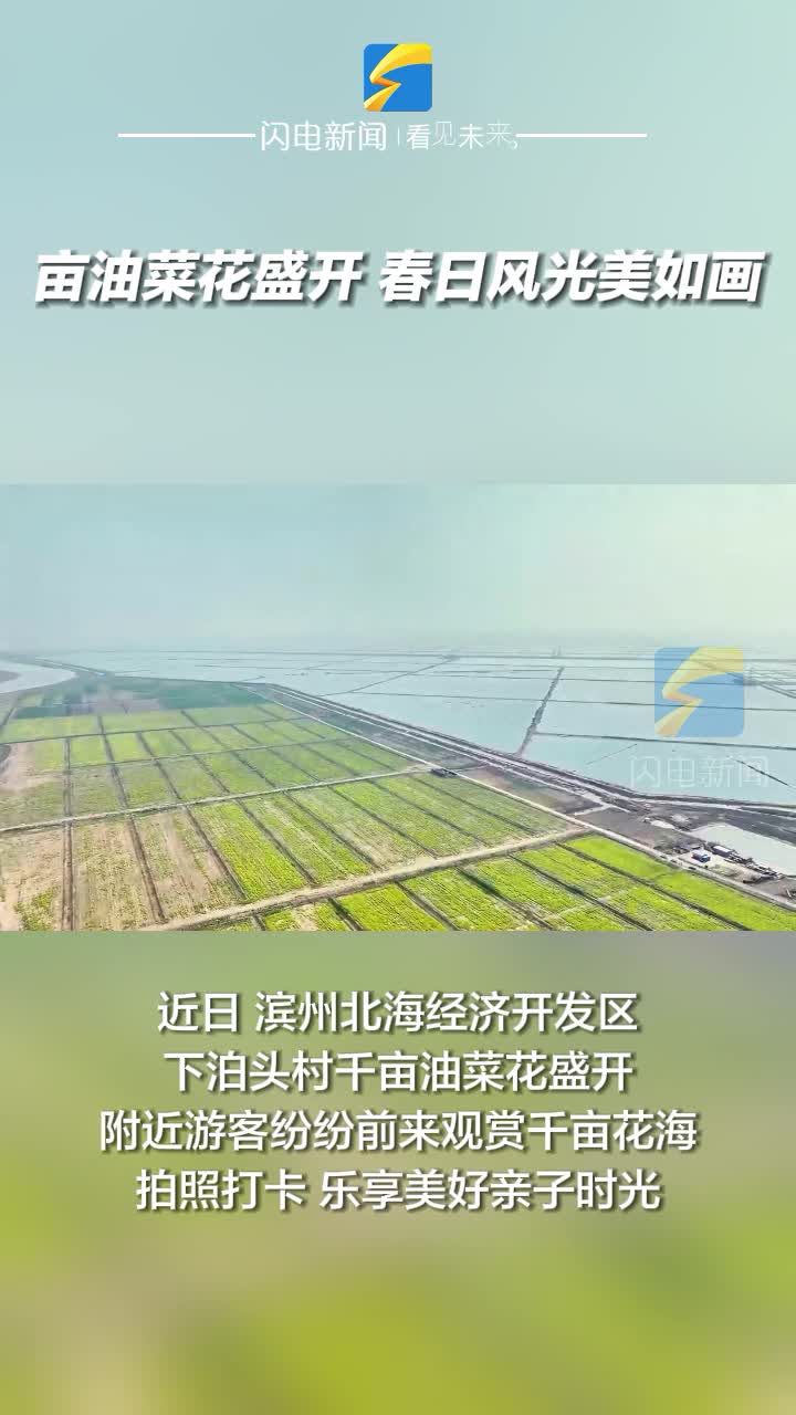 濱州北海經(jīng)濟(jì)開發(fā)區(qū)：油菜花盛開 春日風(fēng)光美如畫