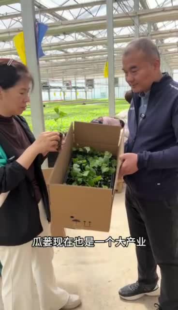 行走平原——久久為功世紀風