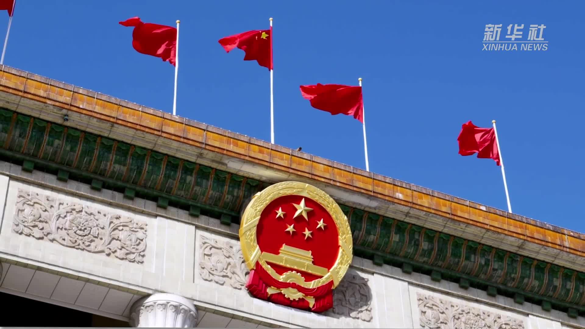 視頻畫報｜元首外交定向領航新時代中俄關系