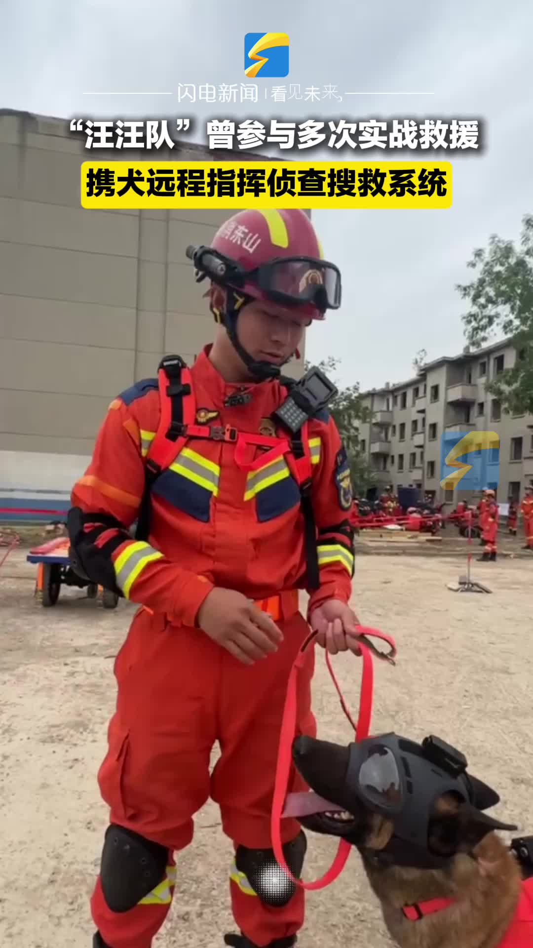 “汪汪隊”+“黑科技”！搜救犬配備遠程指揮偵查搜救系統 實現高效救援