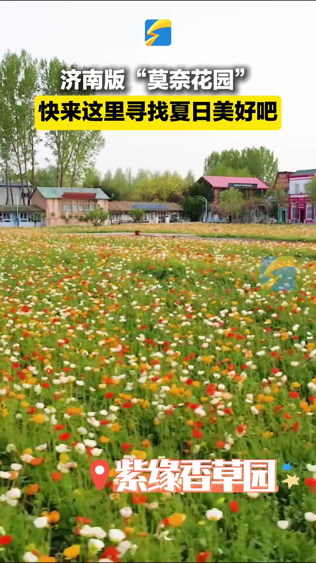 花間煙火氣｜快來(lái)濟(jì)南版的“莫奈花園” 尋找夏日的美好