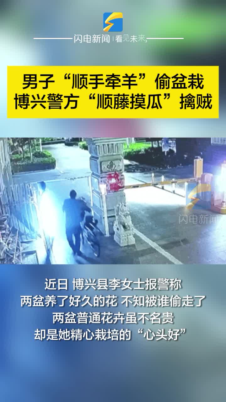男子“順手牽羊”偷盆栽 博興警方“順藤摸瓜”擒賊