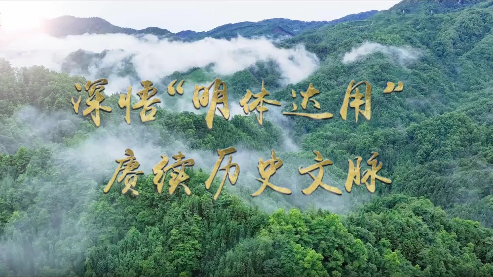 文脉华章丨微视频：深悟“明体达用” 赓续历史文脉