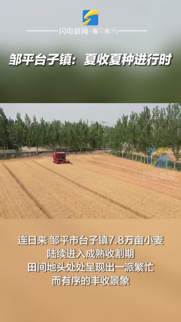 鄒平市臺子鎮：夏收夏種進行時