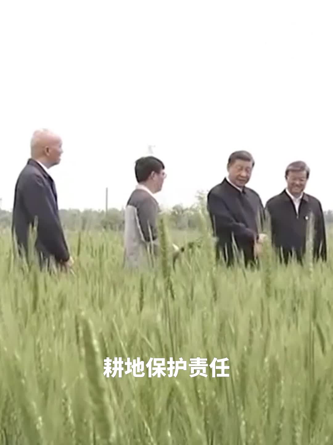 時習之丨采取“長牙齒”的硬措施保護耕地