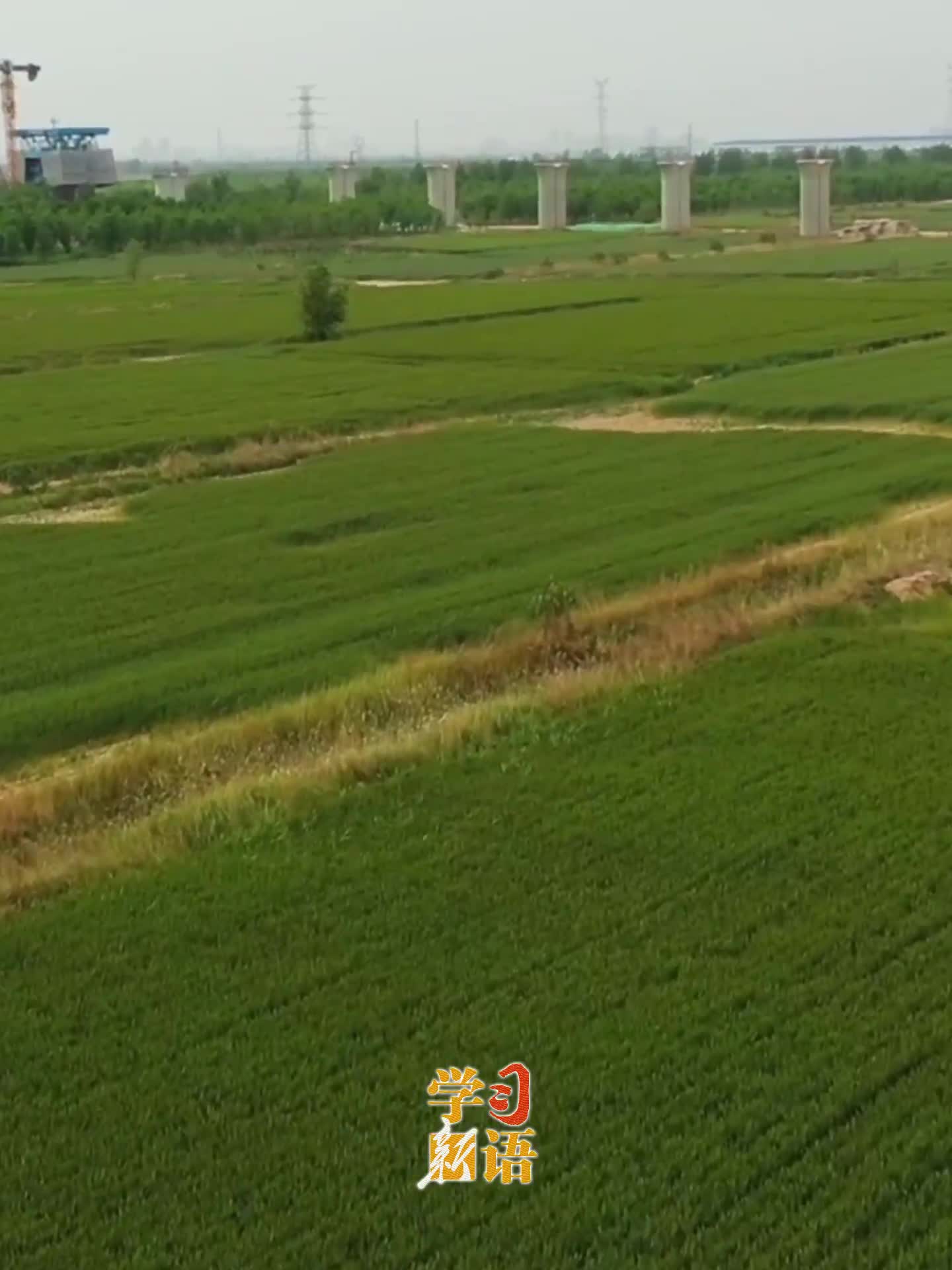 學習新語｜“耕地是糧食生產的命根子”