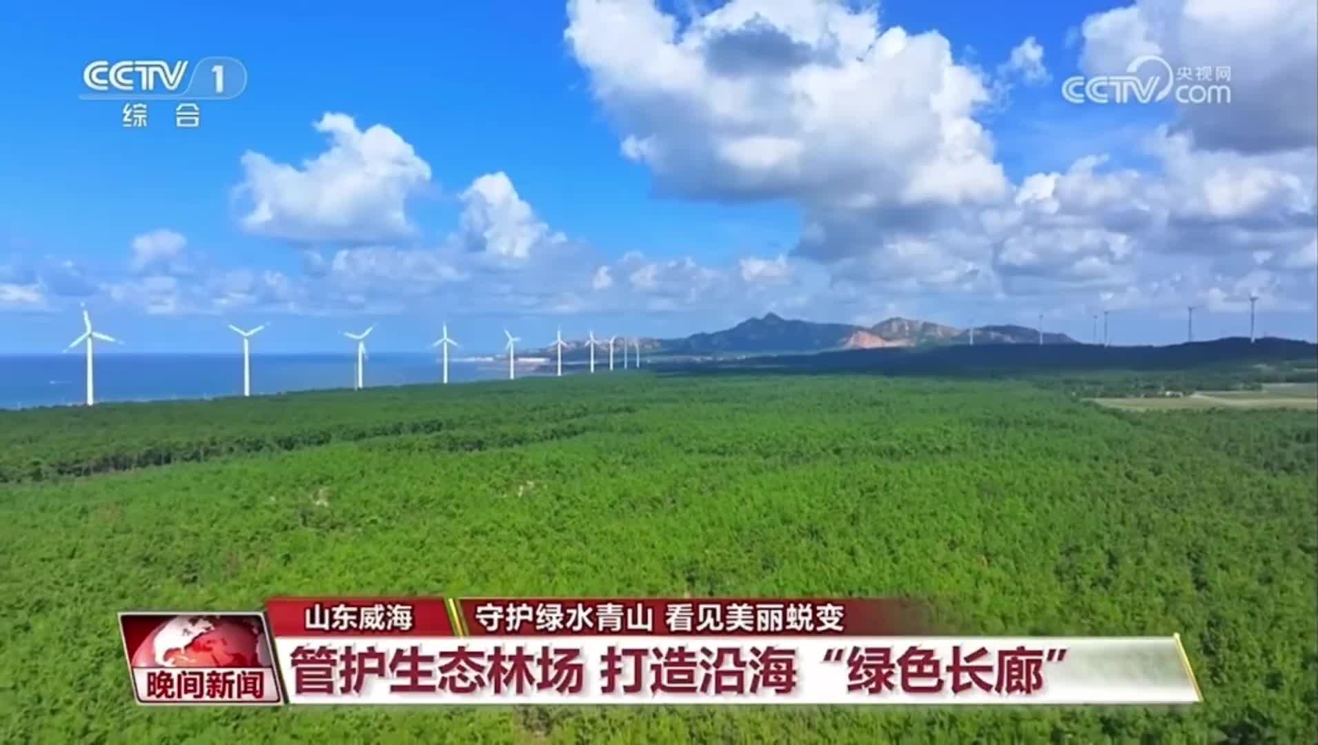 央视《晚间新闻》关注威海：管护生态林场 打造沿海“绿色长廊”