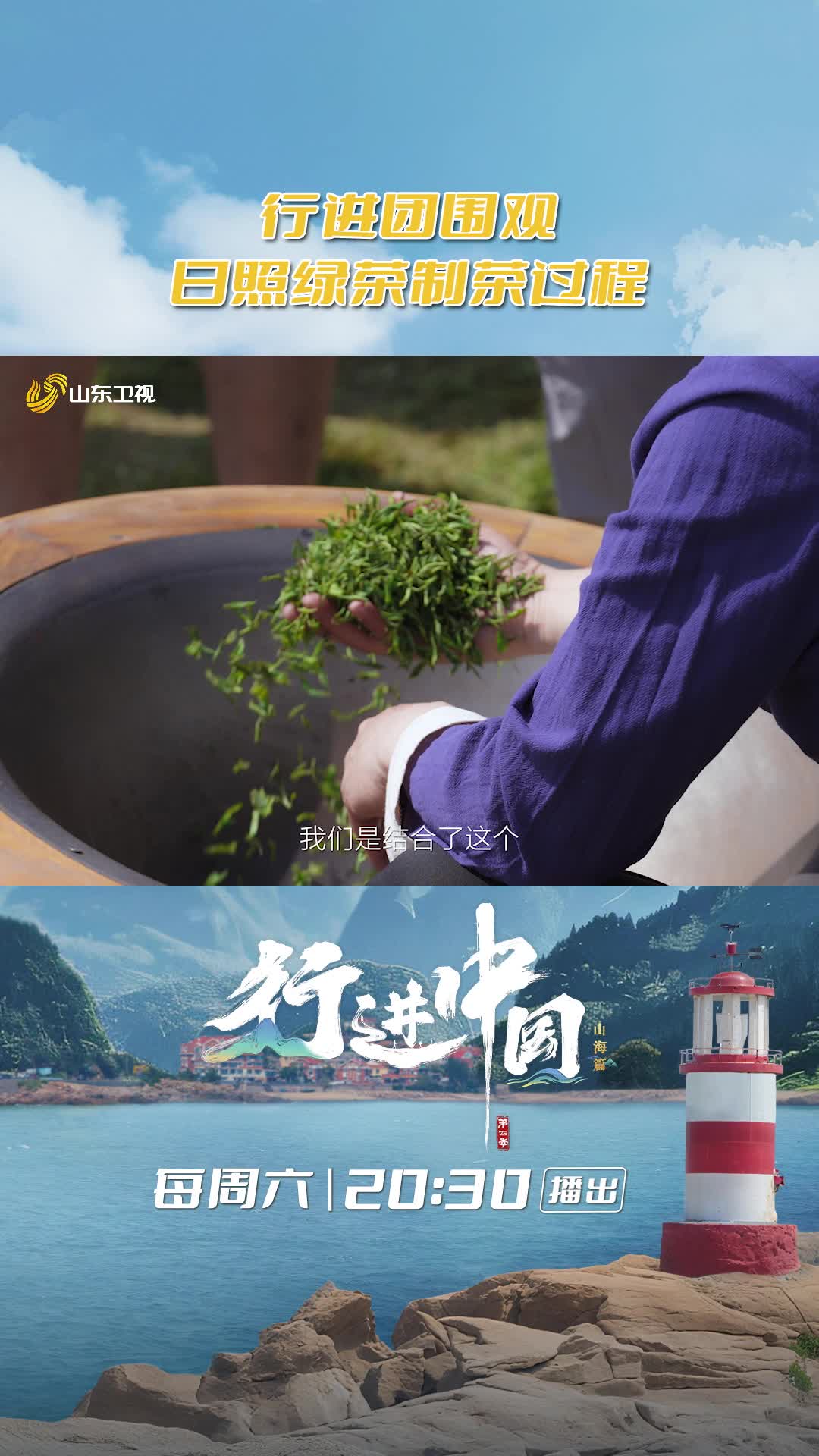 徒手入鐵鍋！《行進中國山海篇》行進團直擊日照綠茶制作現場！