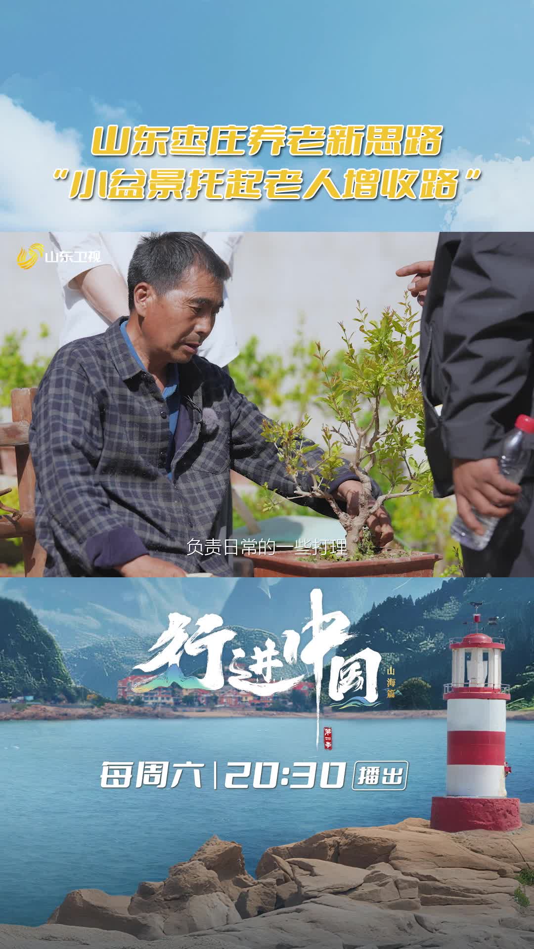万物生长，皆有算法