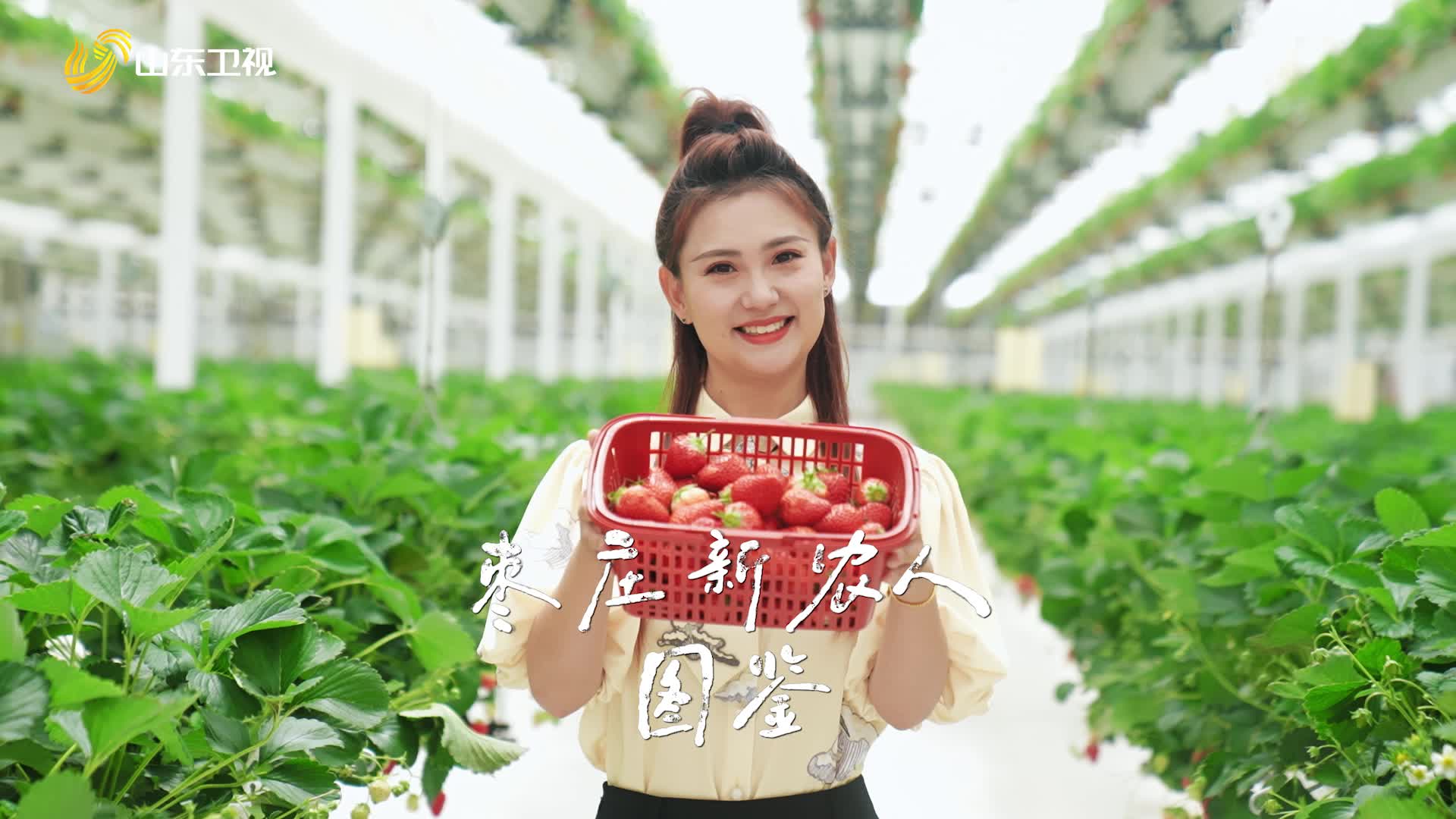 《行进中国山海篇》看枣庄新农人图鉴