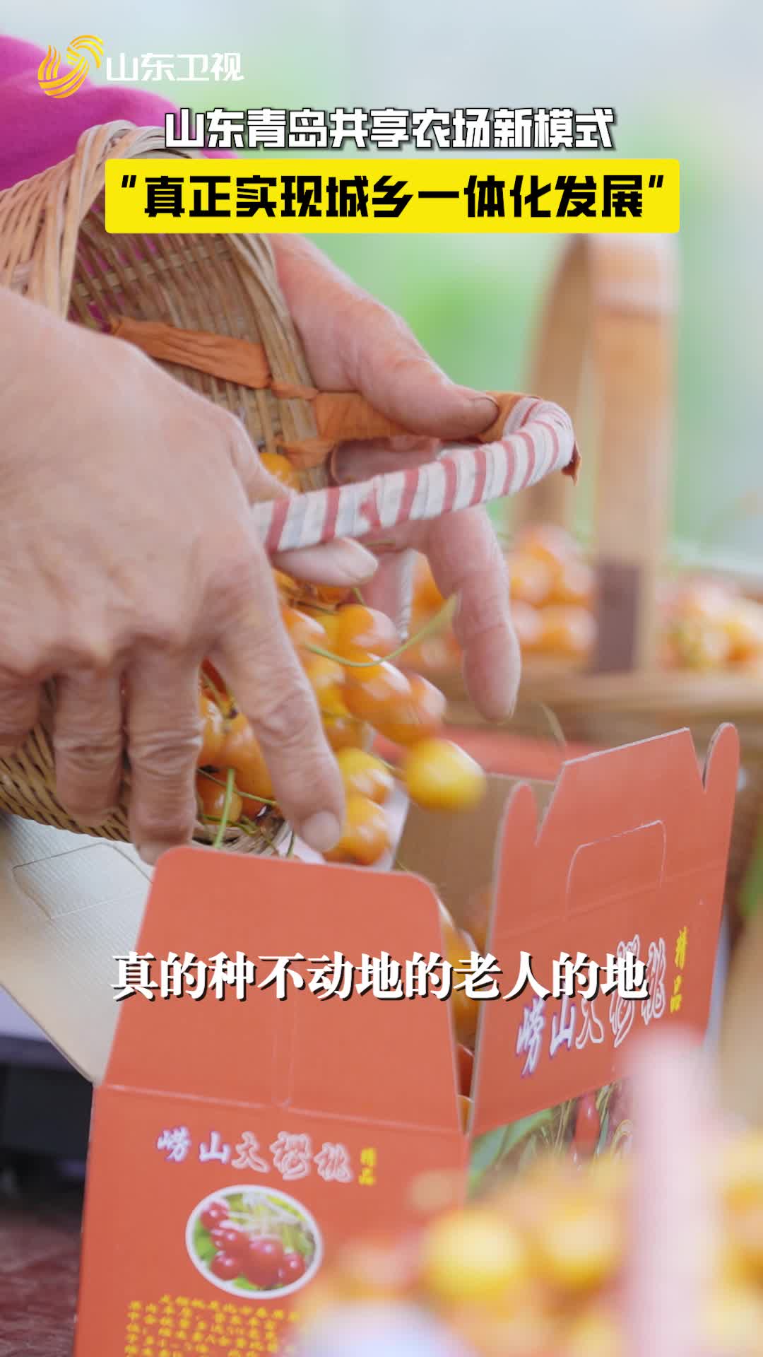 山東青島農(nóng)業(yè)已經(jīng)next level了