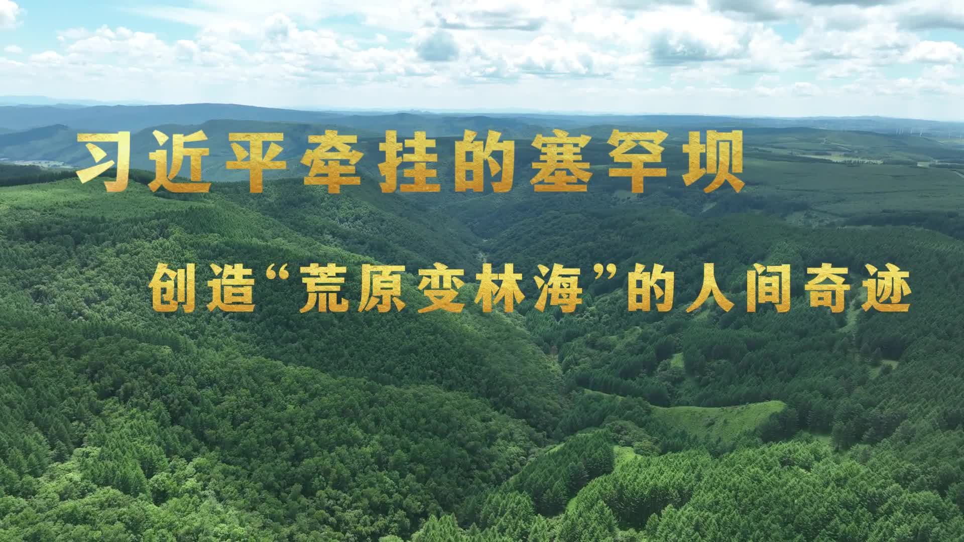 學(xué)習(xí)·知行丨“兩山”回響 習(xí)近平牽掛的塞罕壩 創(chuàng)造“荒原變林海”的人間奇跡