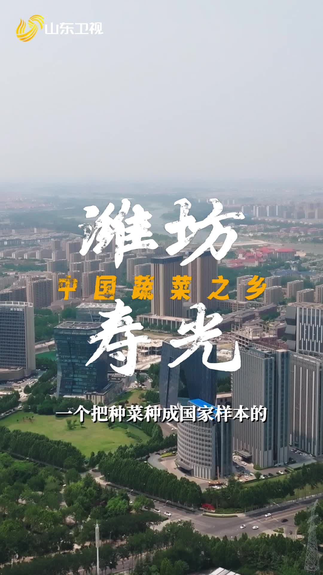山東壽光AI種菜：解鎖智慧農(nóng)業(yè)新風潮！