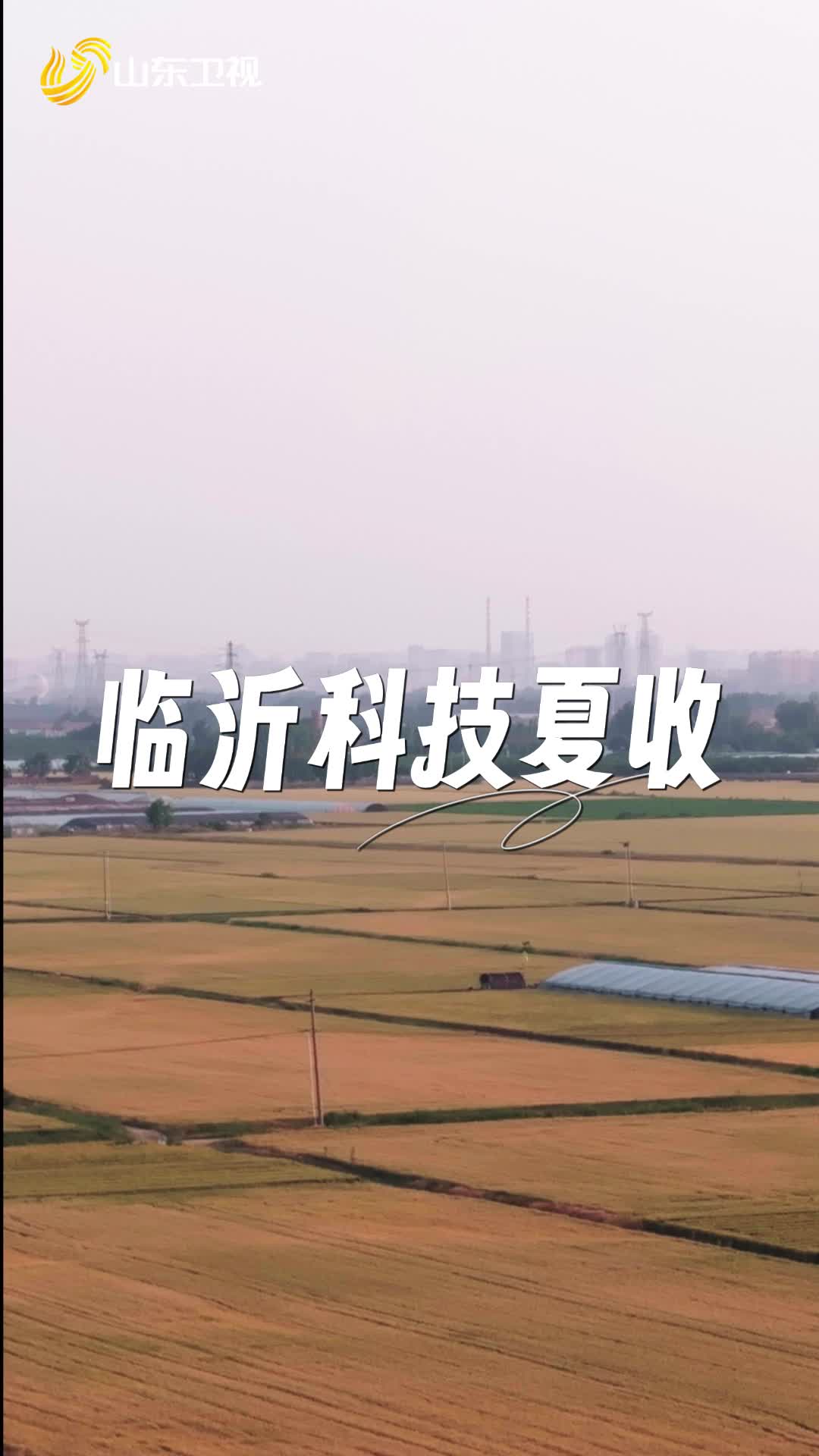 從“豐收在望”到“豐收在握”，一起看臨沂夏收的科技賦能！