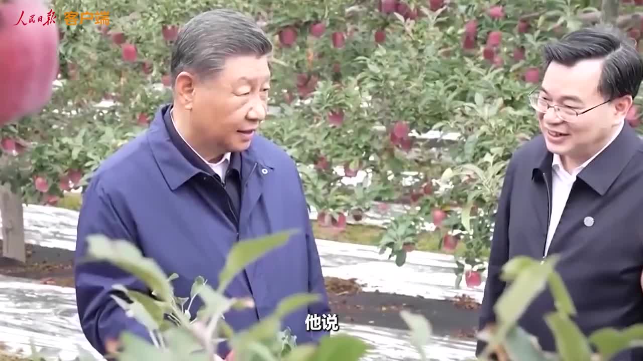 總書記的人民情懷丨“以加快農業農村現代化更好推進中國式現代化建設”