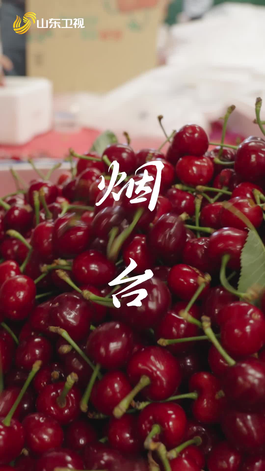 煙臺怕不是真的“水果星球”吧！