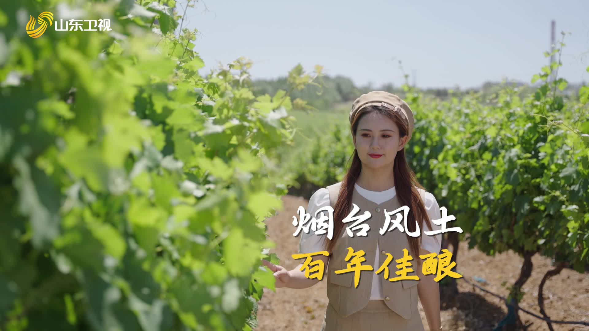 大櫻桃是煙臺給世界的“風味請柬”！