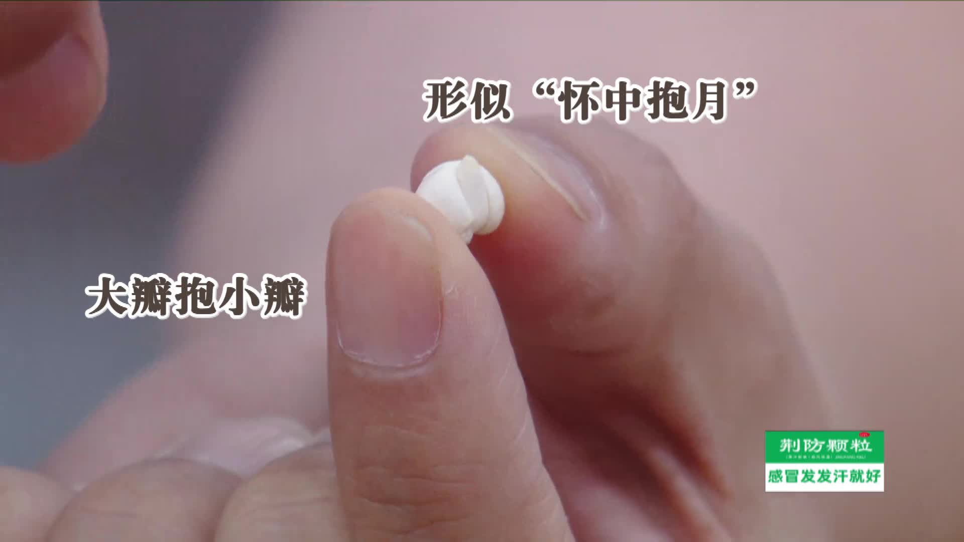 川贝止咳效果不好？可能是你买错了！