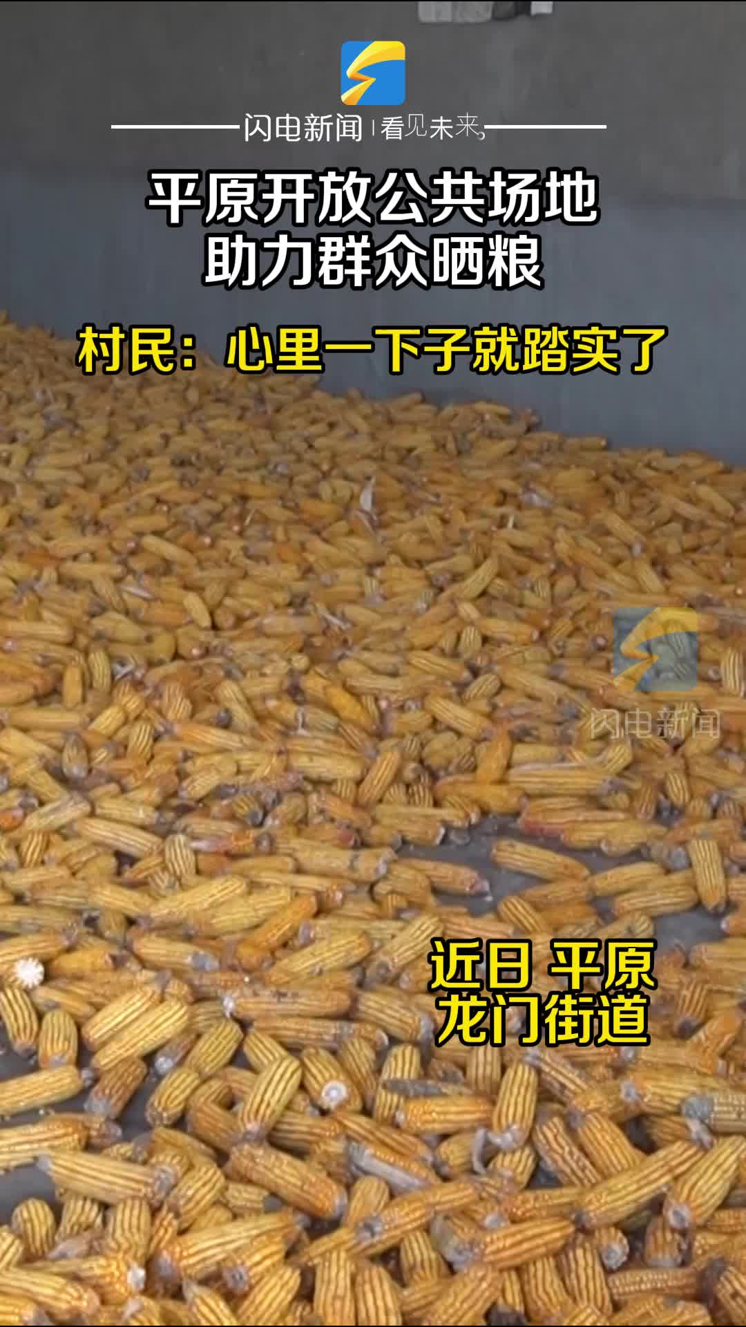 平原县:开放公共场地助力群众晒粮