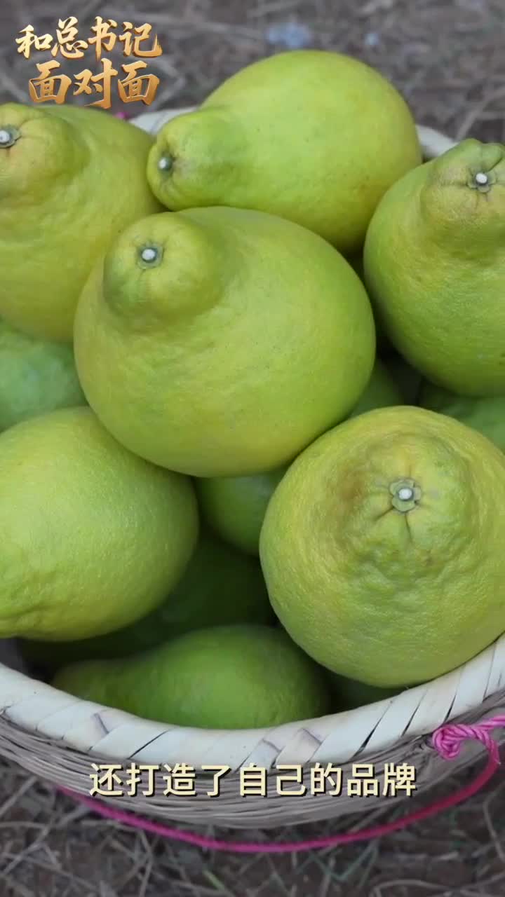 和总书记面对面｜金柚子映照好日子