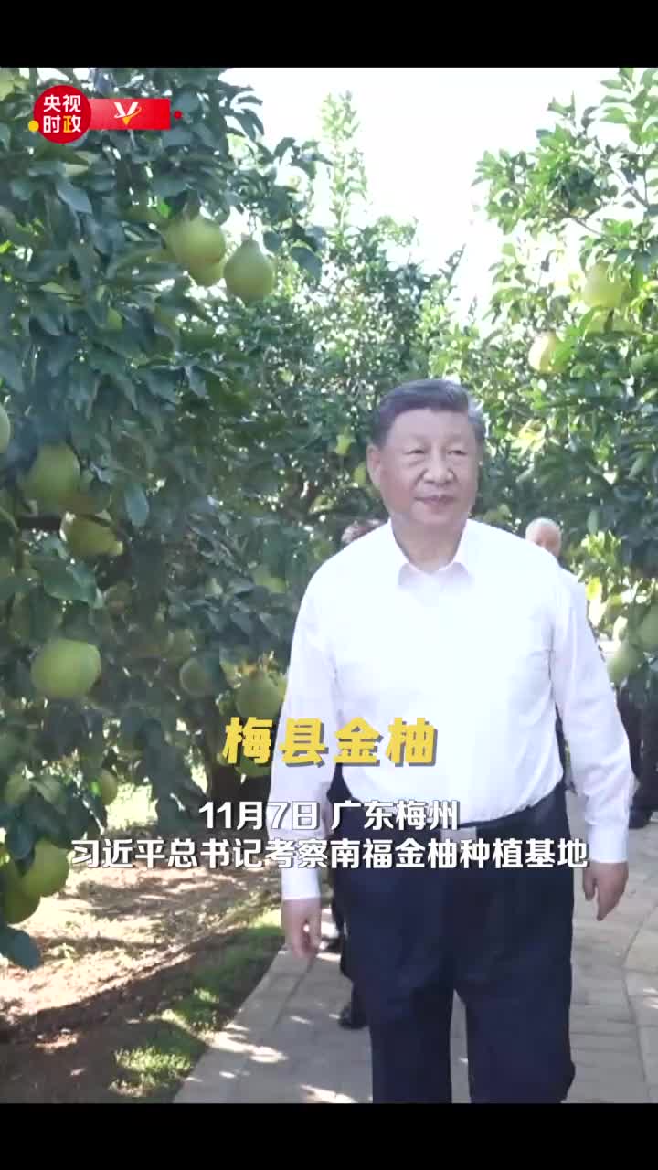 总书记关心的“土特产” 捧起乡村振兴的“金饭碗”