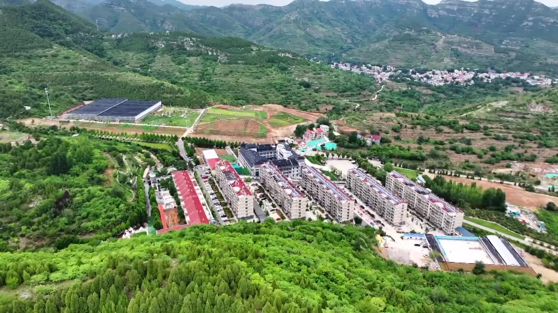 济南芦南村：从“瘌痢头”到“网红村”的绿色逆袭