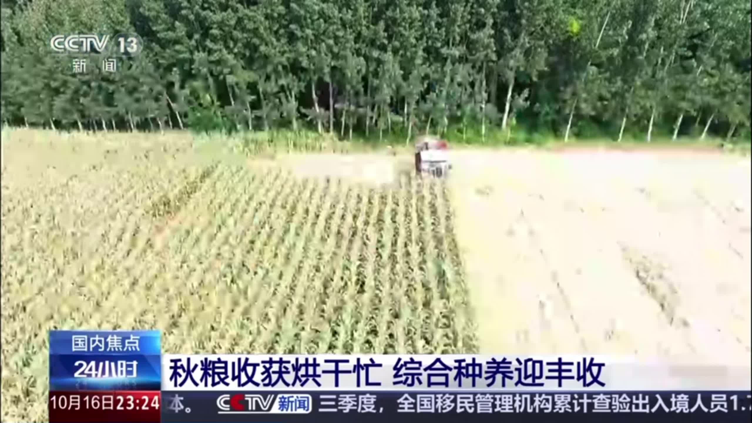 【央视24小时】秋粮收获烘干忙 综合种养迎丰收